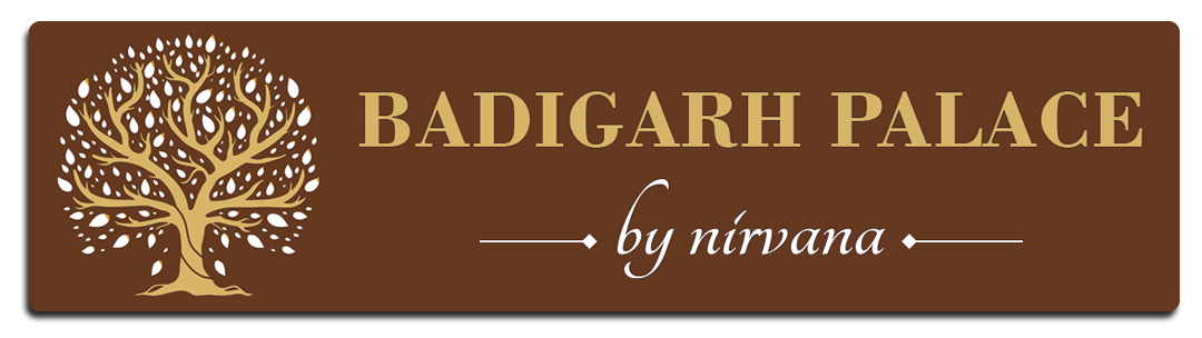 badigarh logo23